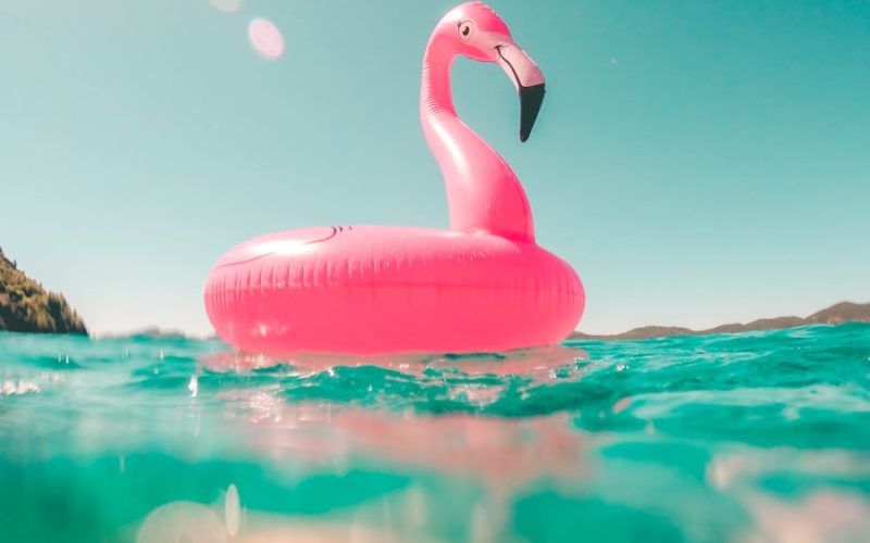 pink flamingo swim ring on body of water in summer